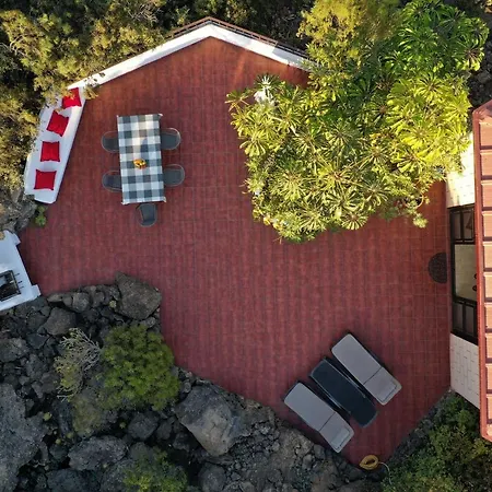 Parasol - Tabaiba By Tor Icod De Los Vinos