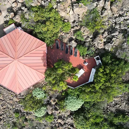 Parasol - Tabaiba By Tor Icod De Los Vinos