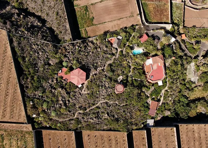 Parasol - Tabaiba By Tor * イコー・デ・ロス・ビノス