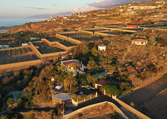 Parasol - Tabaiba By Tor