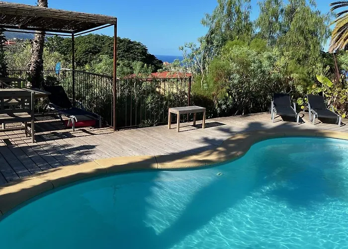 Parasol - Tabaiba By Tor *