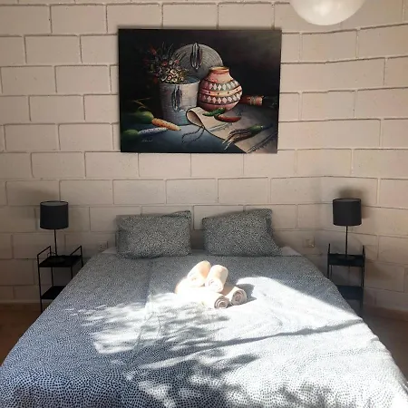 Parasol - Tabaiba By Tor