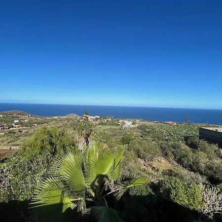 Parasol - Tabaiba By Tor *