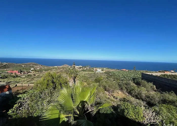 Parasol - Tabaiba By Tor *